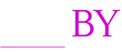 Logo footer